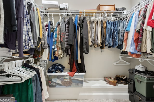 view of spacious closet