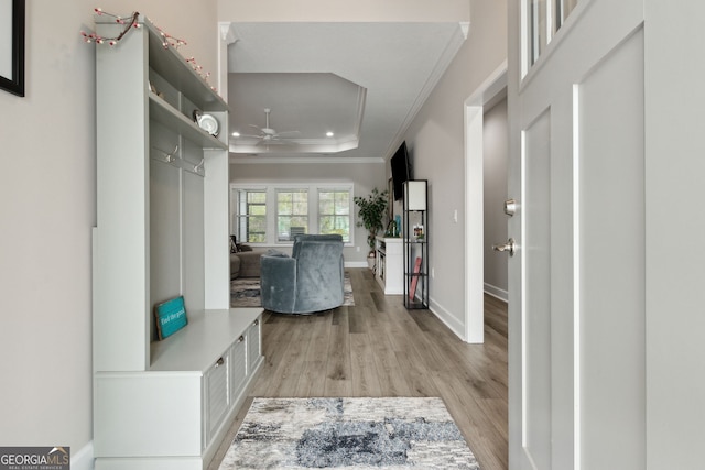 mudroom featuring ornamental molding, a raised ceiling, ceiling fan, and light wood-type flooring