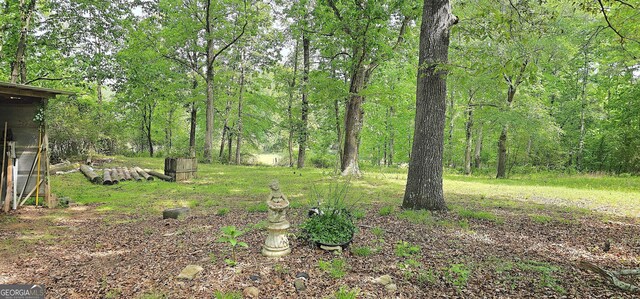 190 Creekwood Rd, Winder, GA 30680 - view of yard