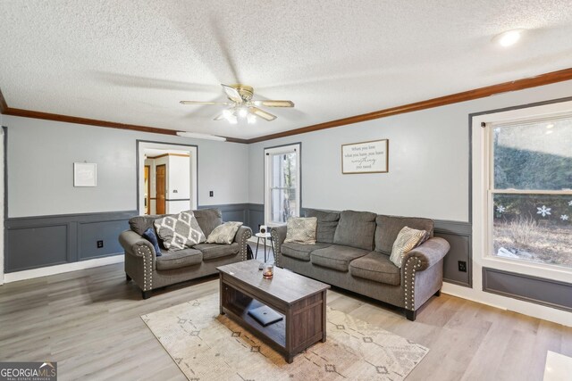 living room featuring ceiling fan, ornamental molding, a textured ceiling, and light wood-type flooring