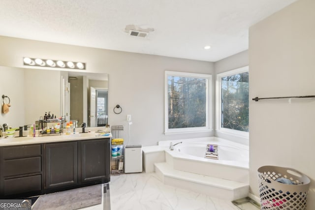 bathroom featuring vanity and a bathtub