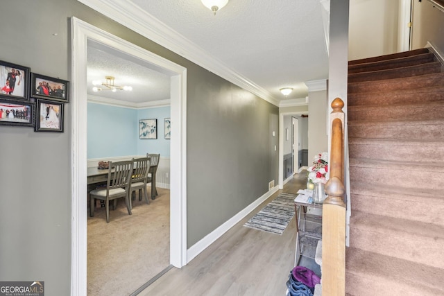 stairs featuring crown molding, carpet floors, and a textured ceiling