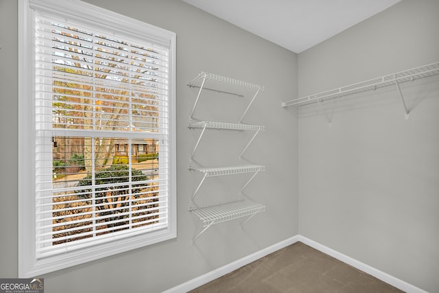 view of spacious closet