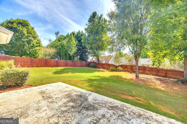 view of yard featuring a patio area