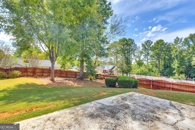 view of yard featuring a patio