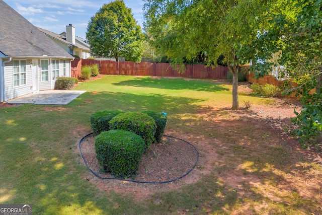 view of yard featuring a patio