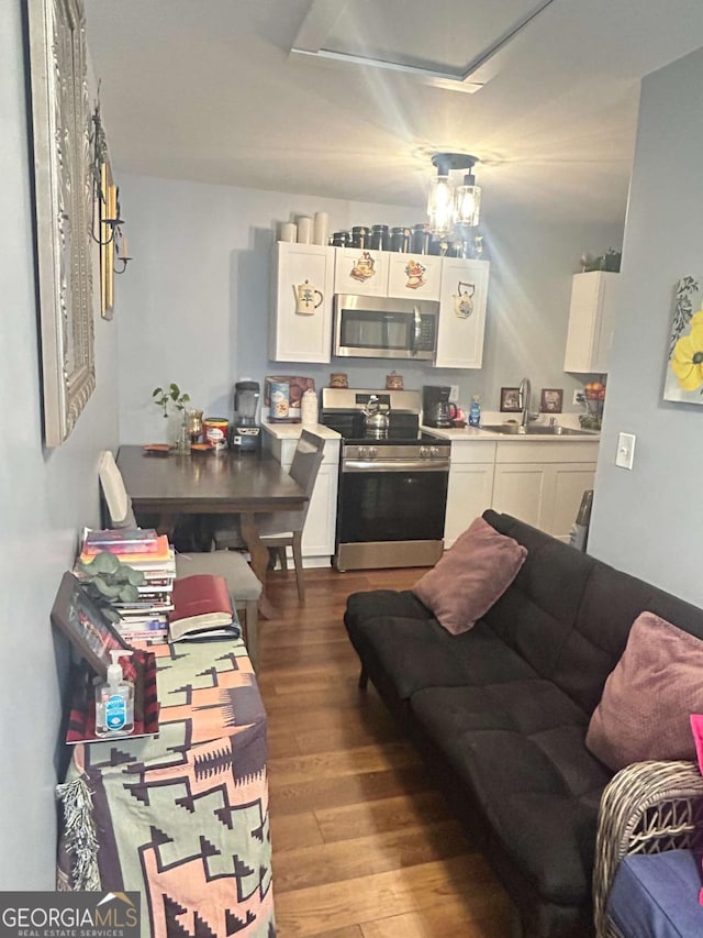 living room featuring wood-type flooring and sink