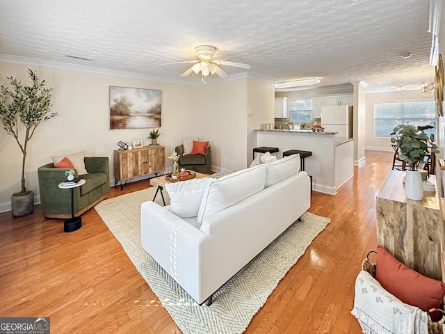 living room with light wood finished floors, baseboards, a ceiling fan, ornamental molding, and a textured ceiling