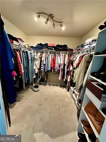 spacious closet featuring carpet