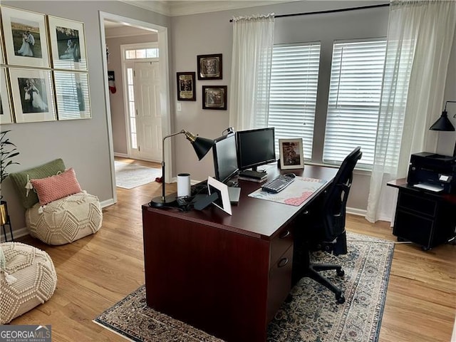 office space with ornamental molding and light hardwood / wood-style flooring