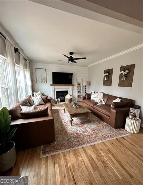 living room with ceiling fan, ornamental molding, and wood-type flooring