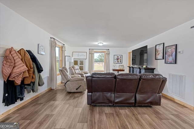 living room with wood-type flooring