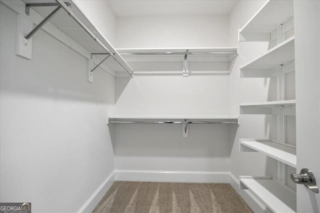 spacious closet featuring carpet flooring