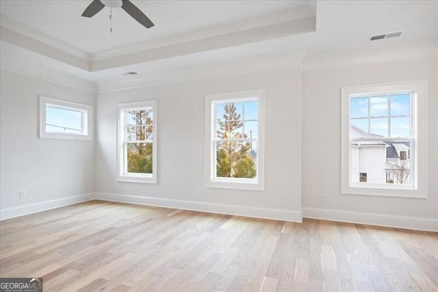 spare room featuring crown molding, plenty of natural light, a raised ceiling, and light wood-type flooring