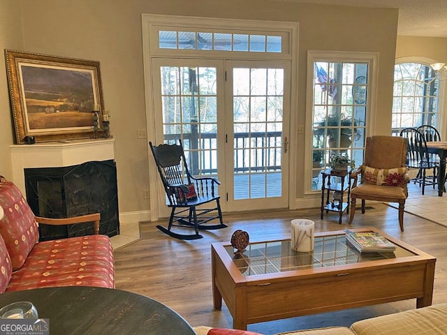 living room with hardwood / wood-style floors