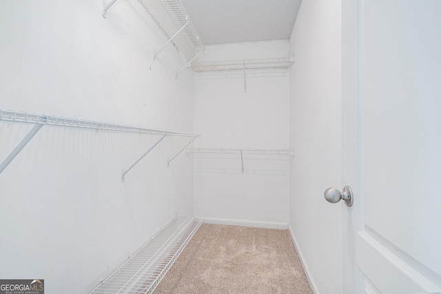 walk in closet featuring light colored carpet