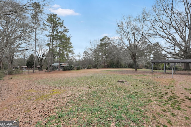view of yard