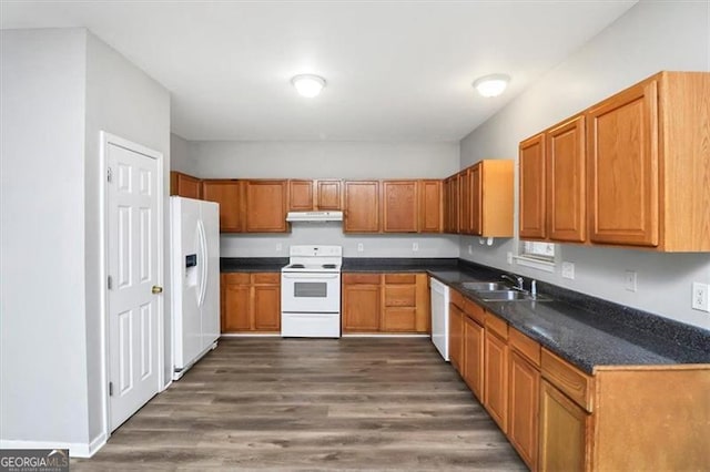 kitchen featuring dark hardwood / wood-style flooring, sink, and white appliances