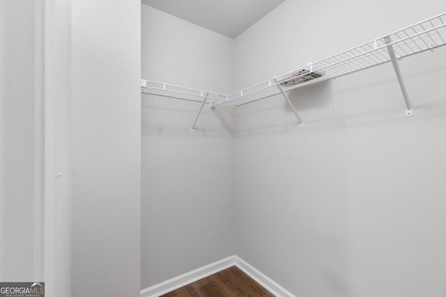 spacious closet featuring hardwood / wood-style floors