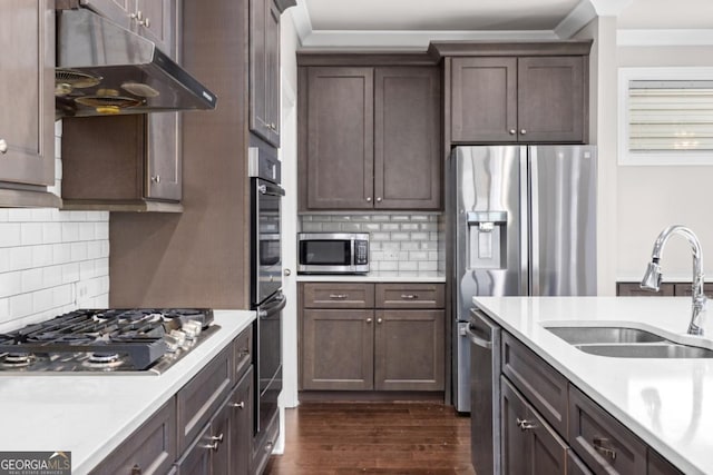 kitchen featuring sink, appliances with stainless steel finishes, dark brown cabinets, dark hardwood / wood-style floors, and decorative backsplash