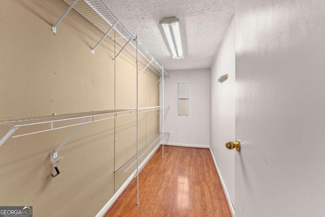 spacious closet featuring wood-type flooring