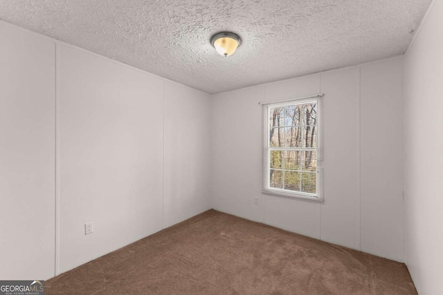 spare room featuring a textured ceiling and carpet flooring