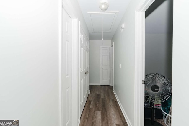 corridor featuring dark wood-type flooring