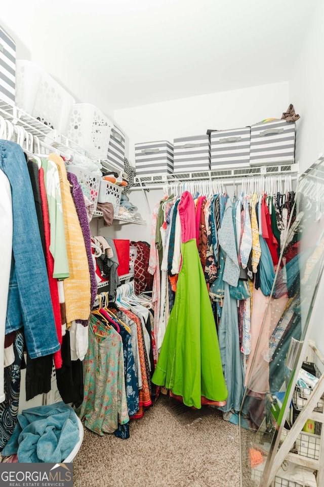 spacious closet featuring carpet