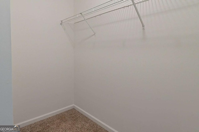 walk in closet featuring carpet floors