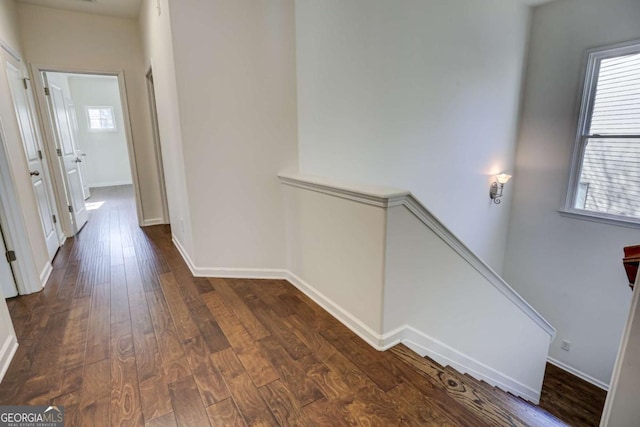 hall with dark hardwood / wood-style floors and a healthy amount of sunlight