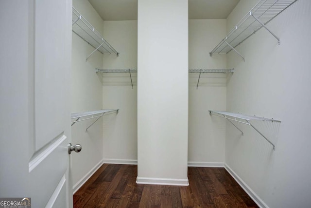 spacious closet with dark wood-type flooring