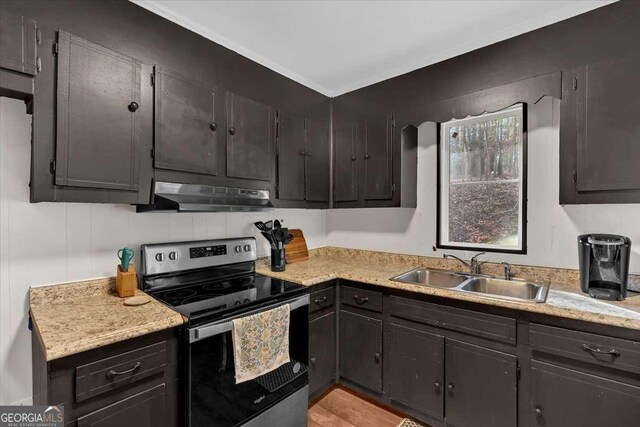 kitchen featuring sink, dark brown cabinetry, kitchen peninsula, stainless steel appliances, and light wood-type flooring