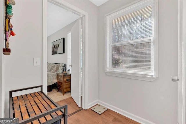 hallway featuring light hardwood / wood-style flooring and a wealth of natural light