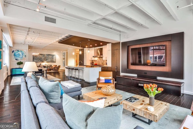 living room with dark wood-type flooring and track lighting