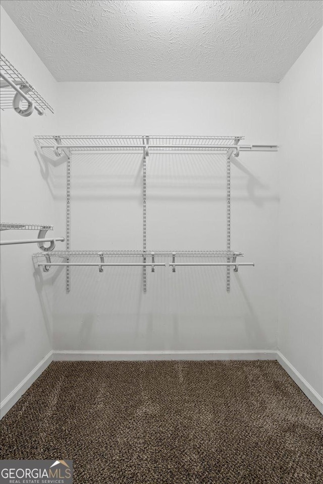 walk in closet with carpet floors