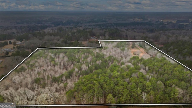 bird's eye view with a wooded view