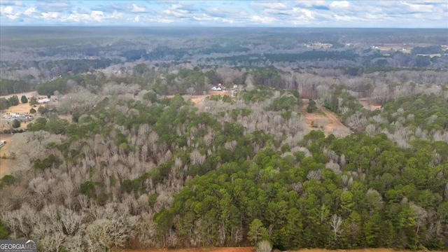 birds eye view of property with a forest view