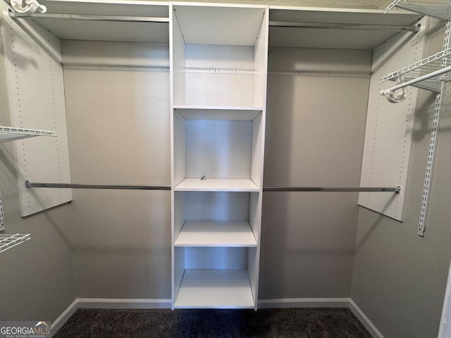 spacious closet featuring carpet floors