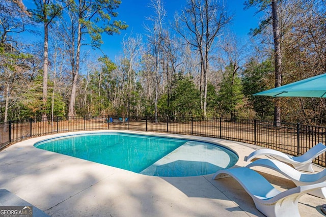 view of pool with a patio