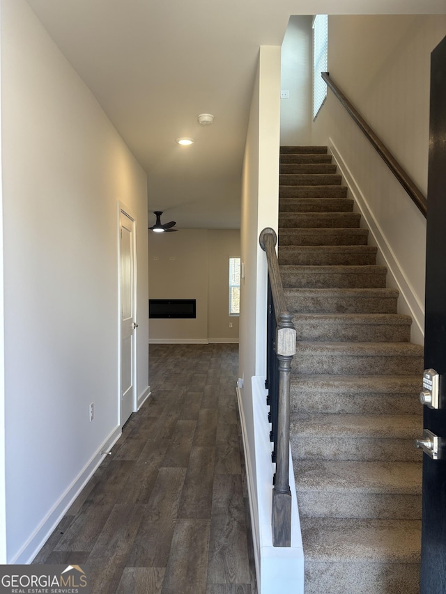 staircase with ceiling fan, hardwood / wood-style floors, and a fireplace