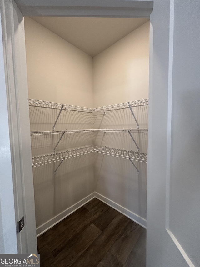 walk in closet with dark hardwood / wood-style flooring