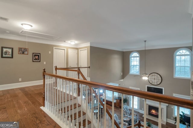 corridor featuring hardwood / wood-style flooring and ornamental molding