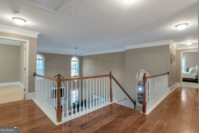 hallway featuring hardwood / wood-style floors and ornamental molding