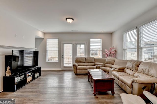 living room featuring hardwood / wood-style flooring