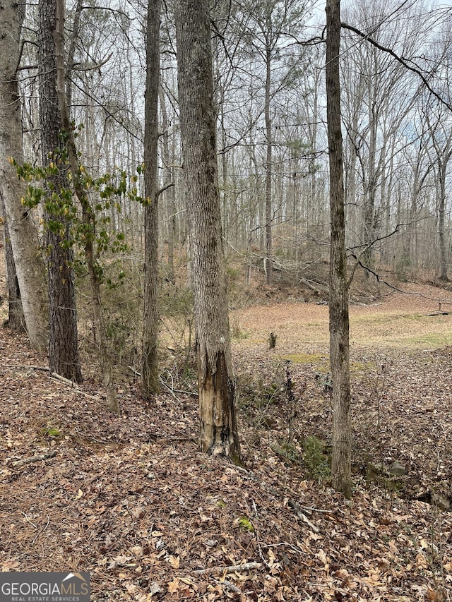 view of local wilderness