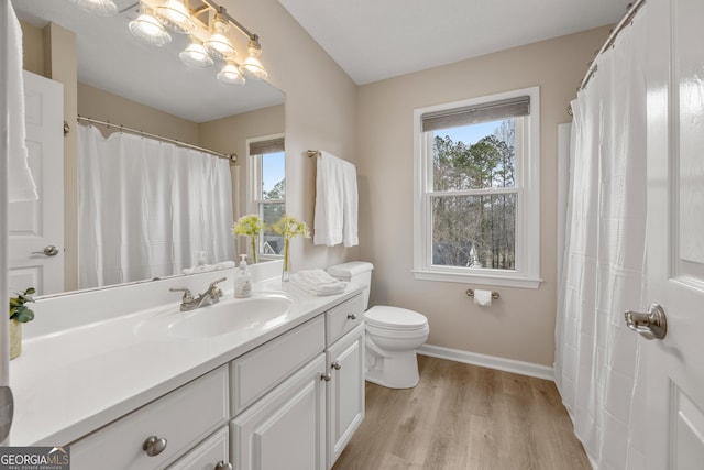 bathroom with hardwood / wood-style flooring, vanity, and toilet