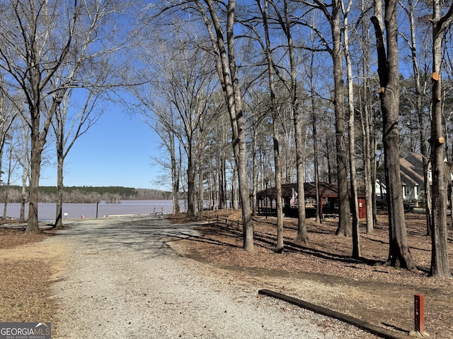 1400 Heidi Trl, Buckhead, GA 30625 - view of road with a water view