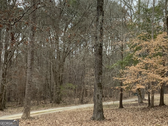 view of local wilderness