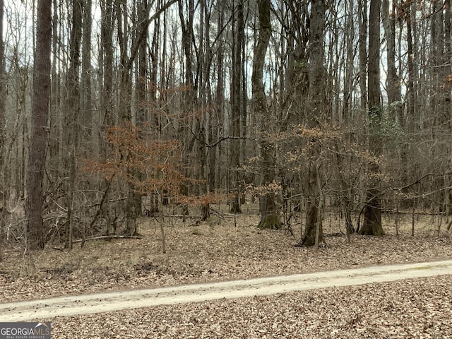 1400 Heidi Trl, Buckhead, GA 30625 - view of wooded area