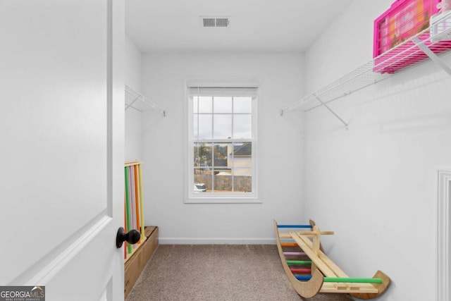 spacious closet with light colored carpet